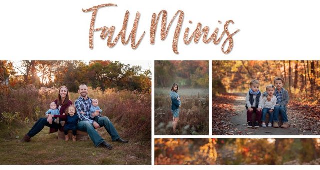 Fall Mini Sessions | Arlington Heights IL Family Photographer